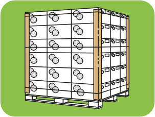 Edgeboard variant